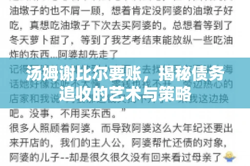 汤姆谢比尔要账，揭秘债务追收的艺术与策略