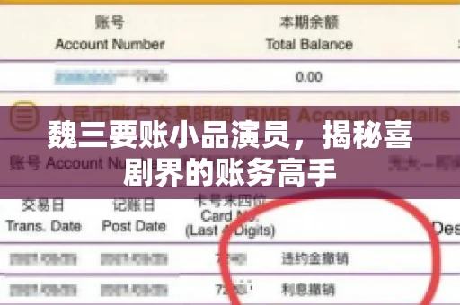 魏三要账小品演员，揭秘喜剧界的账务高手