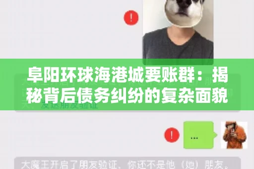 阜阳环球海港城要账群：揭秘背后债务纠纷的复杂面貌