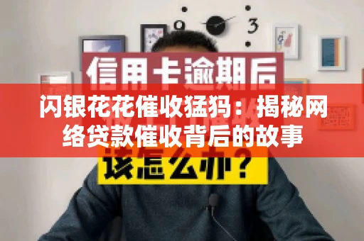 闪银花花催收猛犸：揭秘网络贷款催收背后的故事